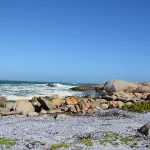 Namaqualand, flowers, Richtersveld
