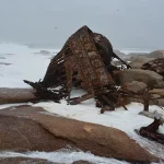 Namaqualand, flowers, Richtersveld