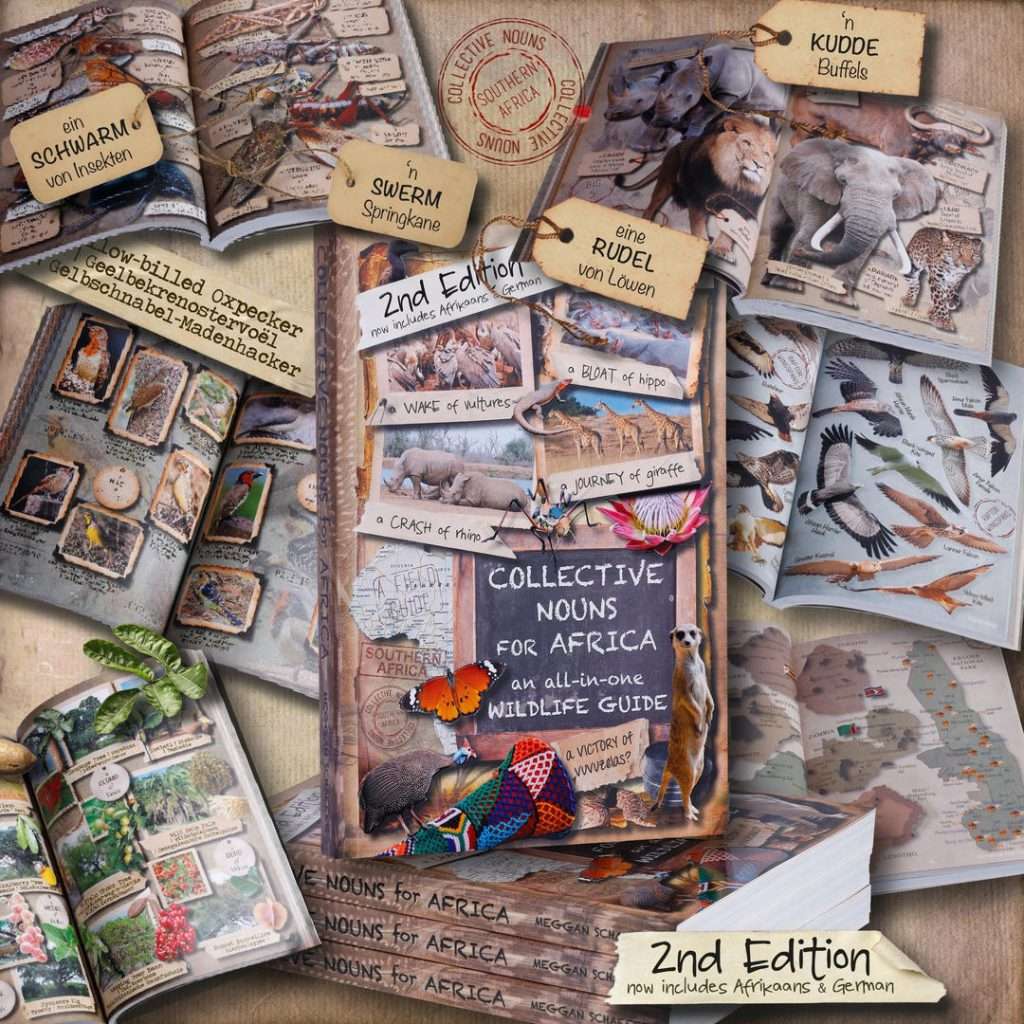 Discover the Fascinating World of Collective Nouns for Wildlife