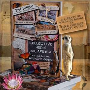 Discover the Fascinating World of Collective Nouns for Wildlife