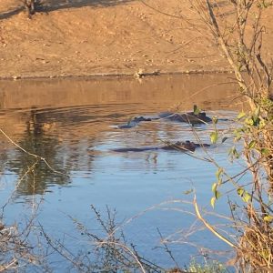 WhatsApp Image 2025-09-01 at 09.14.49 copy